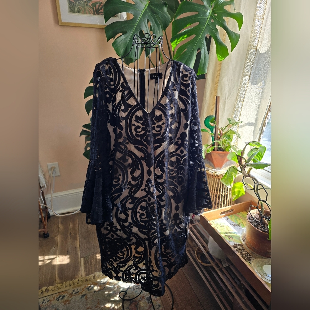 MSK Black and Beige Dress